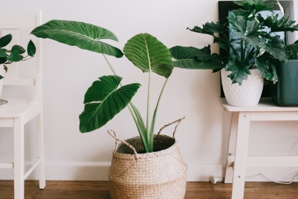 Кракен безопасный вход