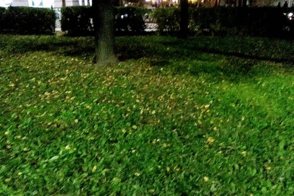 Кракен почему пользователь не найден